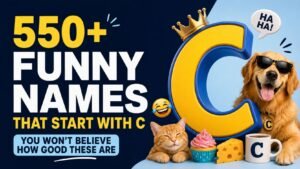 550+ Funny Names That Start With C You Won’t Believe How Good These Are