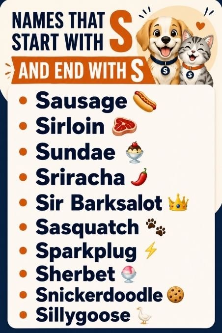 Names That Start With S And End With S