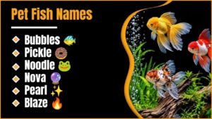 Pet Fish Names: Cute, Funny And Unique Ideas You’ll Absolutely Love